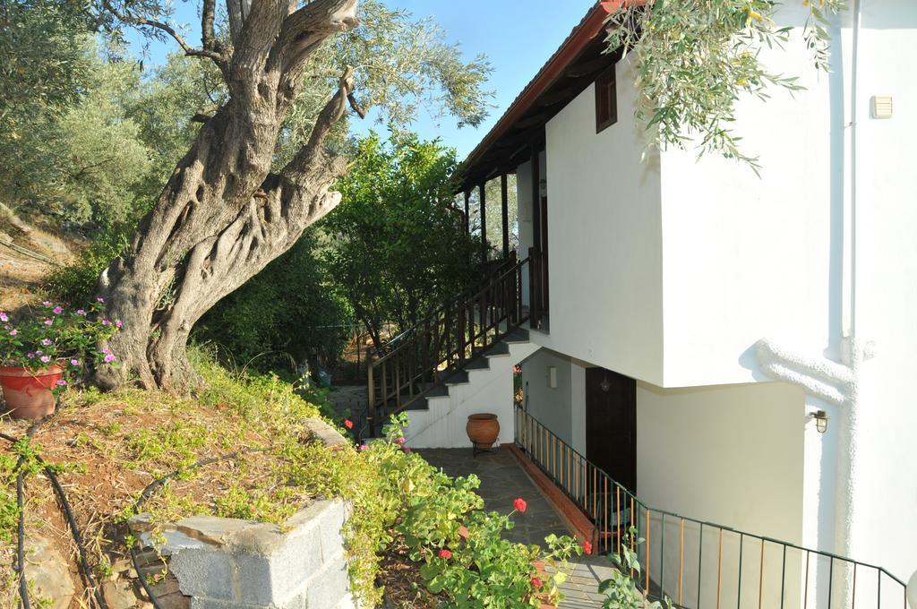 Violetta Studios & Apartments Milína Extérieur photo